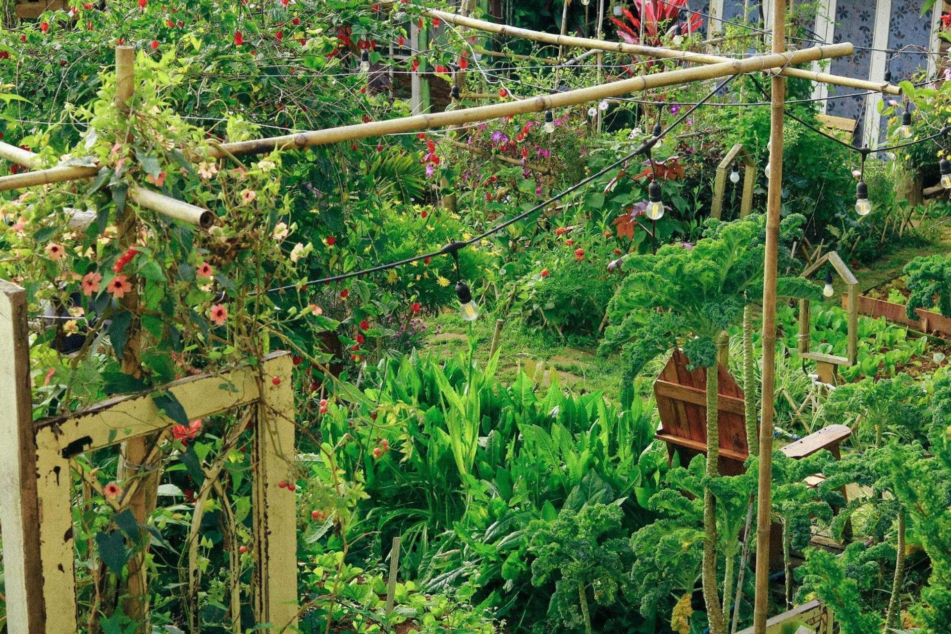 The Burrow Dalat Apartment Exterior photo